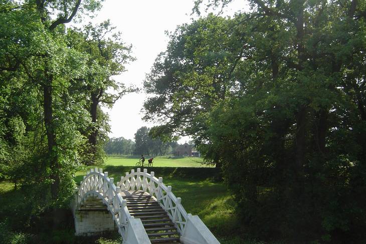 Blick vom Luisium zum Gestüt