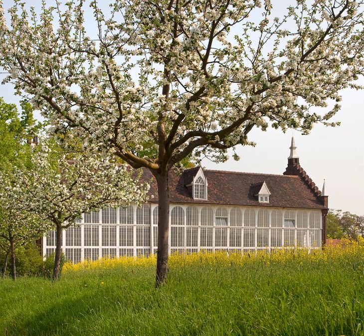 Palemhaus in den Wörlitzer Anlagen von hinten