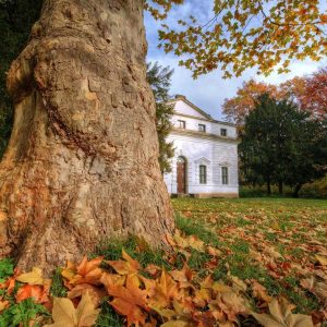 herbstlicher Blick aus dem Georgengarten auf das Fremdenhaus