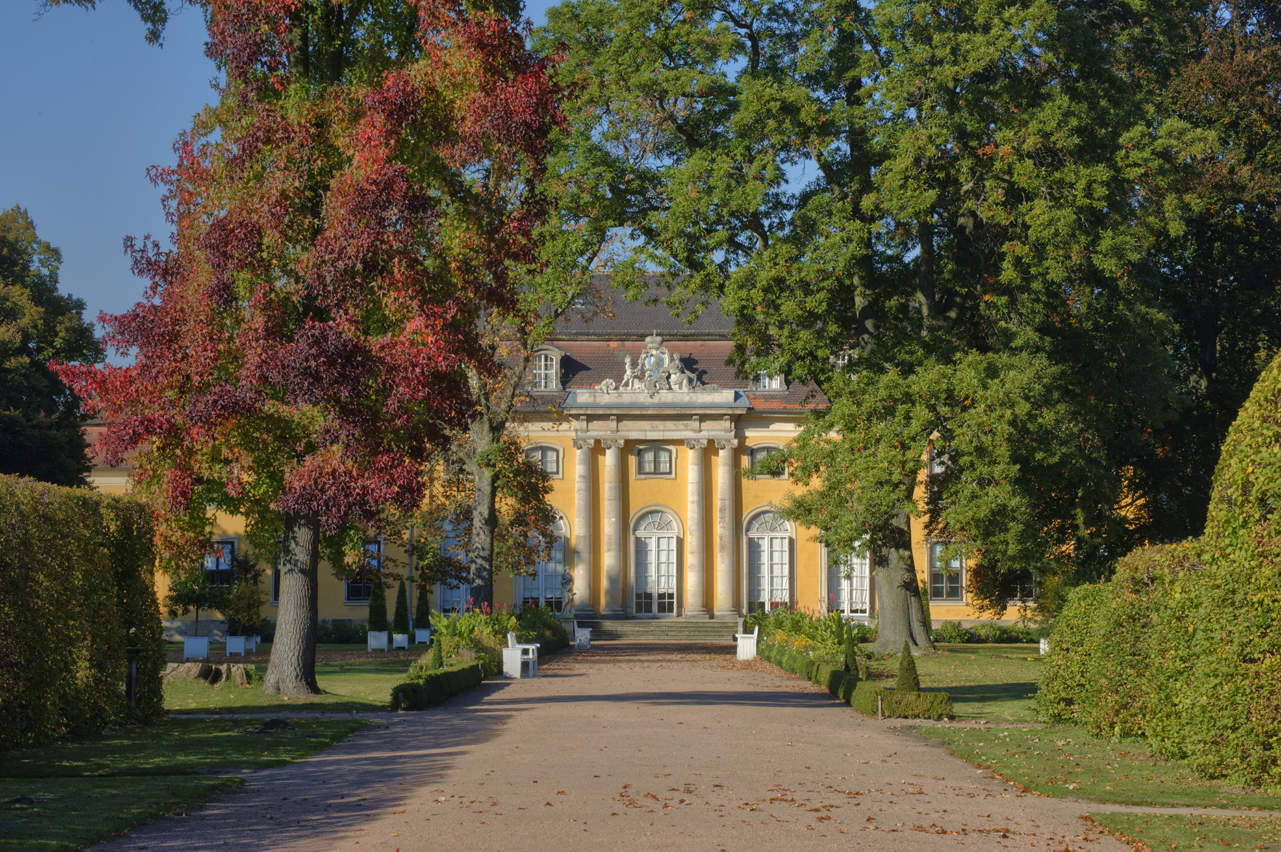 Parkweg mit Blick auf Schloss Mosigkau