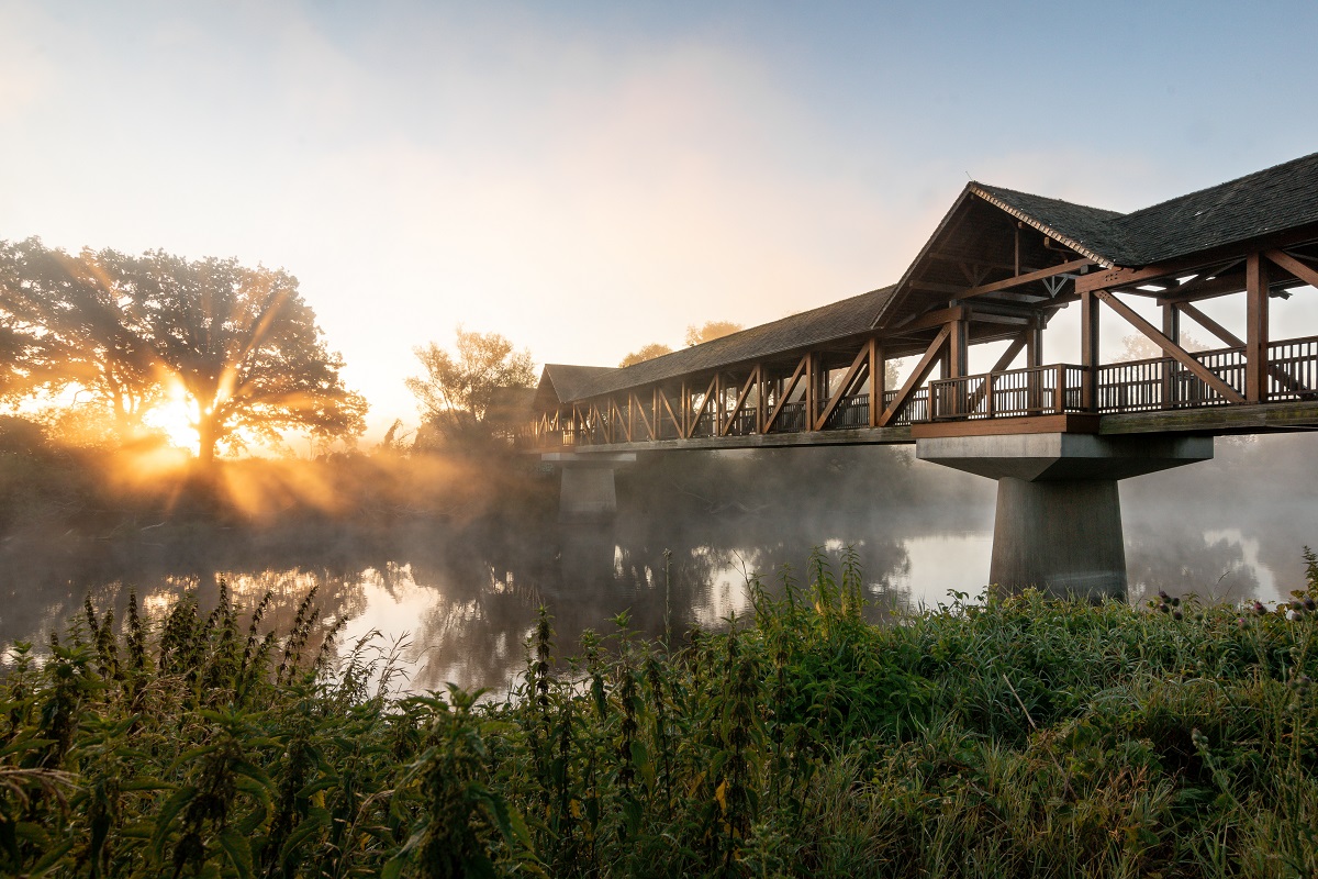 Jagdbrücke Dessau im Morgennebel