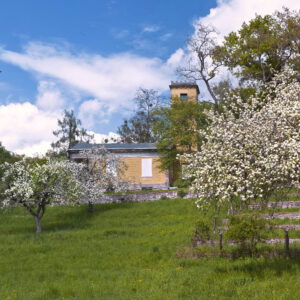 Weinbergschlösschen Dessau im Frühjahr