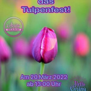 Tulpenfest am Kiosk am Kornhaus