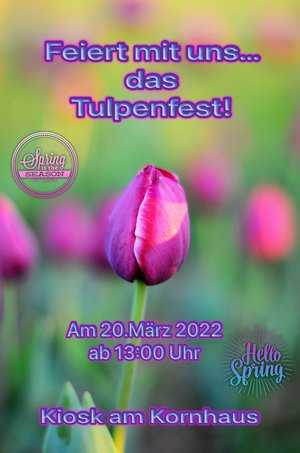Tulpenfest am Kiosk am Kornhaus