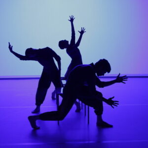 Junge ChoreografInnen IV, Tanztheater