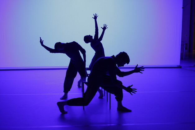 Junge ChoreografInnen IV, Tanztheater