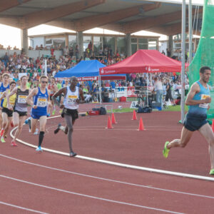 Internationales Leichtathletik Meeting in Dessau