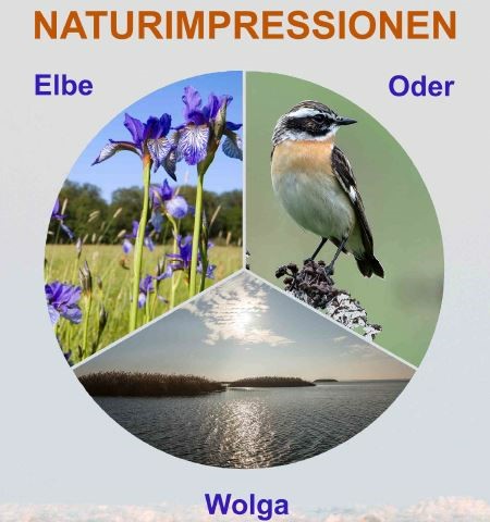 Naturimpressionen_Ausstellung-Naturkundemuseum-Desssau