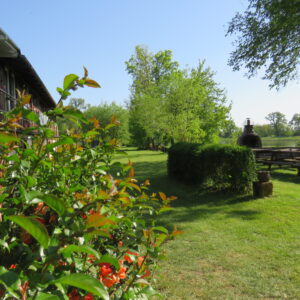 Campingplatz Wassersportfreunde Rodleben e.V.