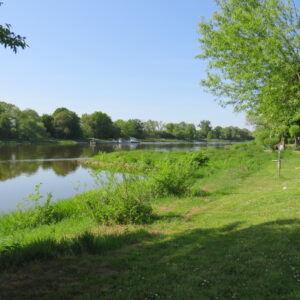 Campingplatz Wassersportfreunde Rodleben e.V.