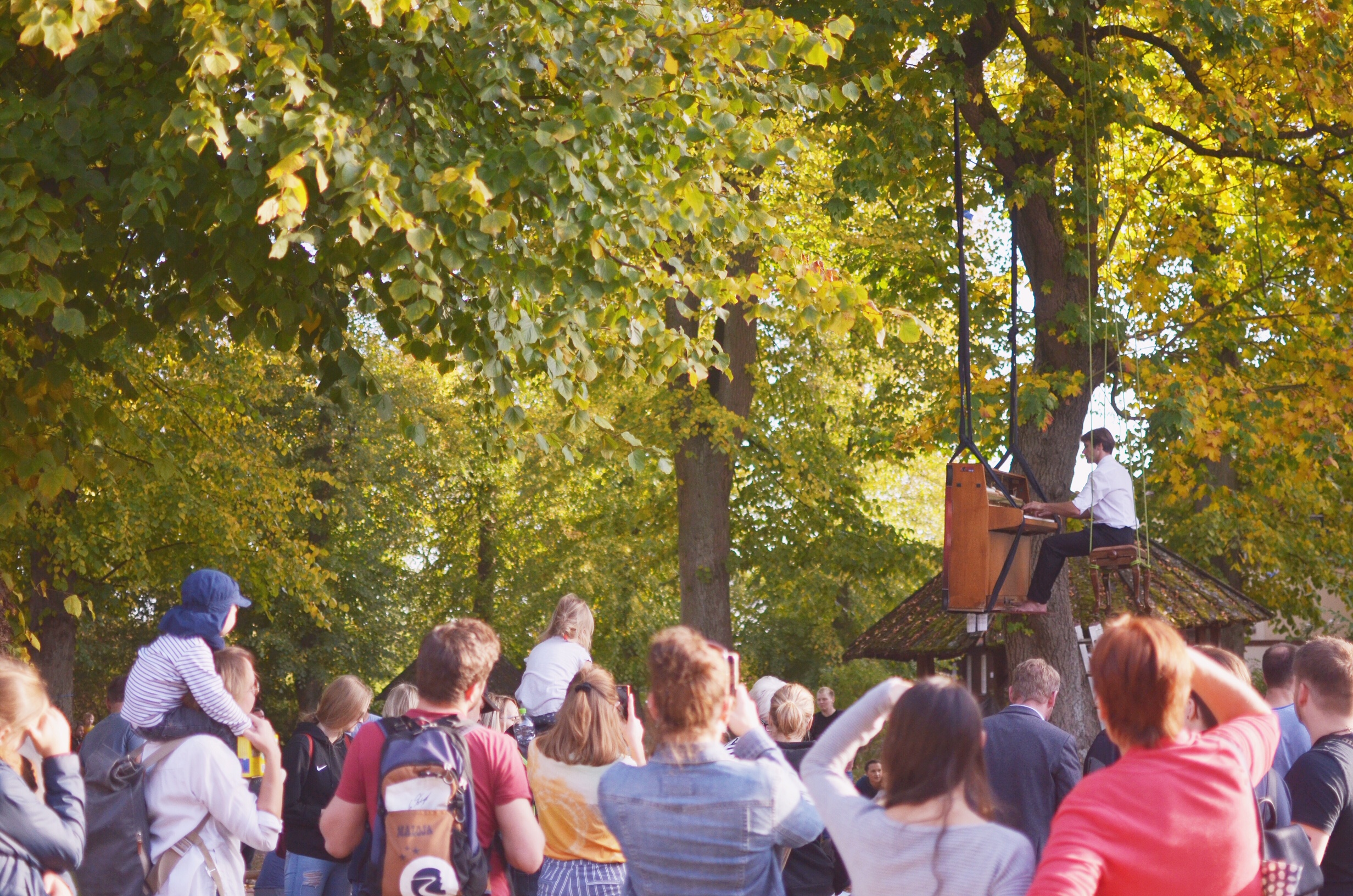 Konzert Klavier im Baum