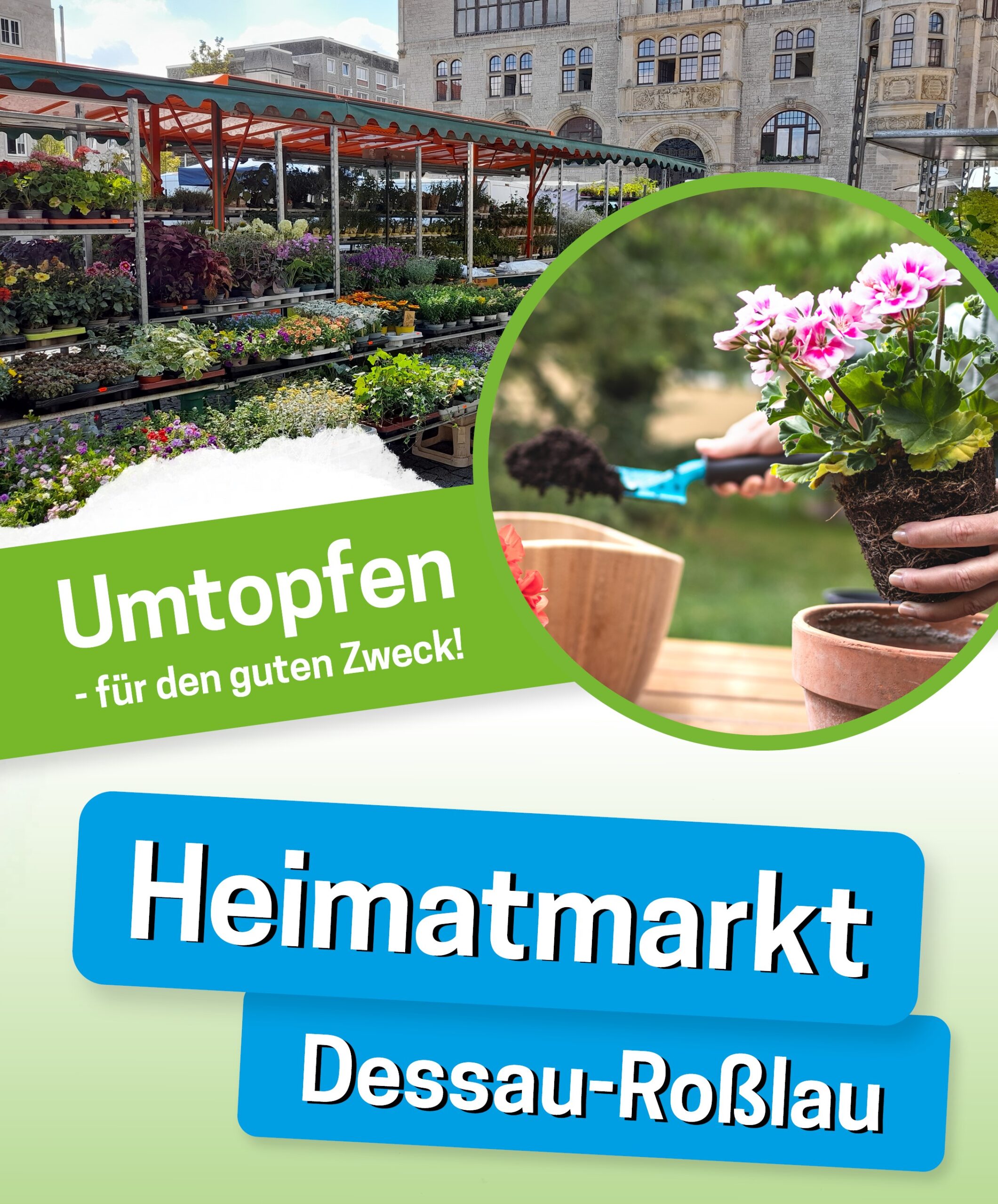 Flyer vom Heimatmarkt