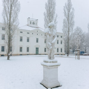 Das verschneite Schloss Georgium in Dessau