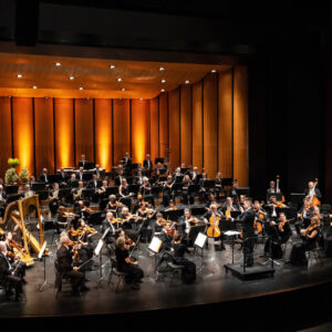 Anhaltische Philharmonie Dessau, Foto Claudia Heysel