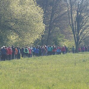 Walking Tag in Dessau-Roßlau