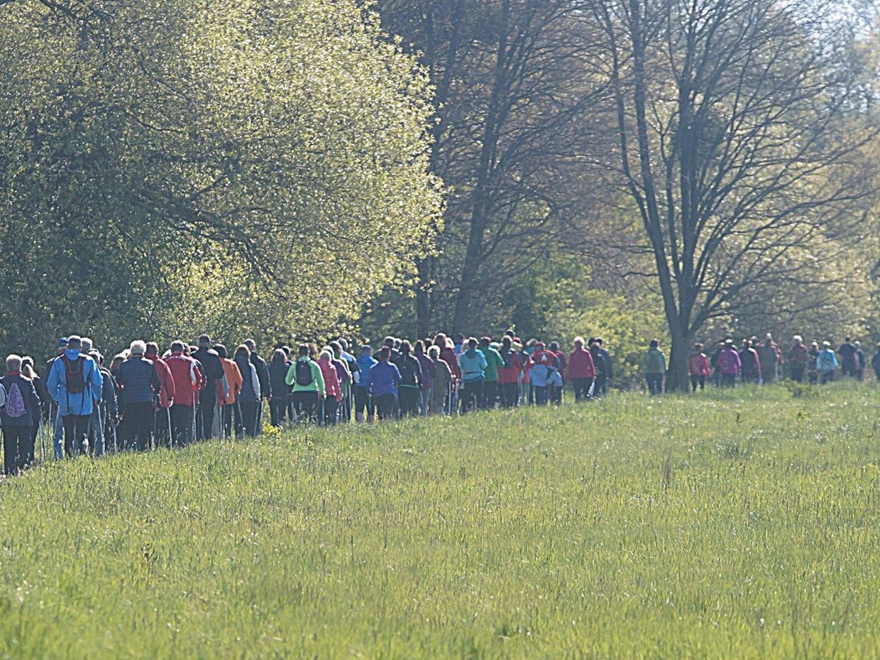 Walking Tag in Dessau-Roßlau