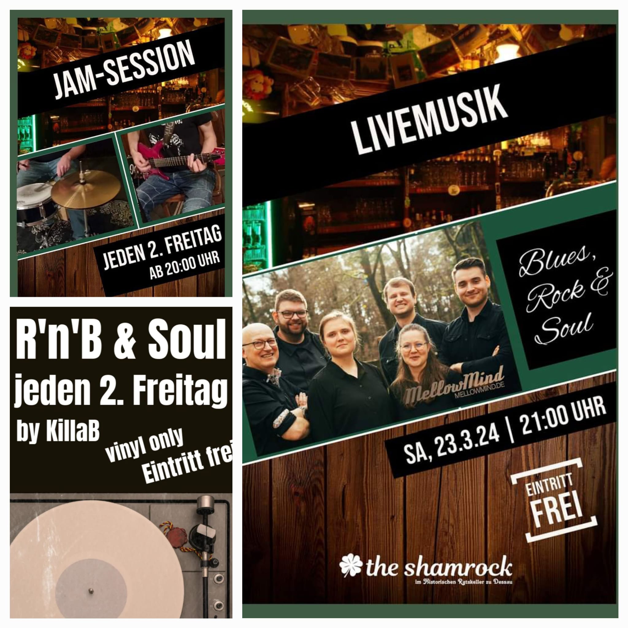 the shamrock dessau, MellowMind am 22.03.2024