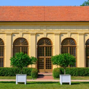 Orangerie im Park Luisium, Foto SMG