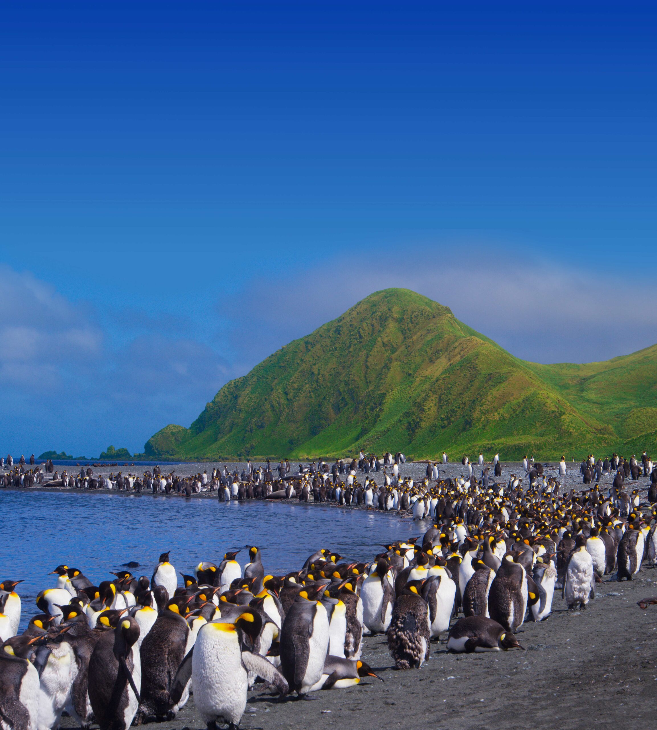 Plakat 3D Vortrag Neuseeland, Foto Stephan Schulz