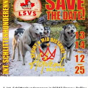 Plakat 1. Internationales Schlittenhunderennen in Dessau 13.-14.12.2025, Grafik Veranstalter