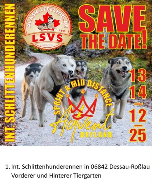 Plakat 1. Internationales Schlittenhunderennen in Dessau 13.-14.12.2025, Grafik Veranstalter