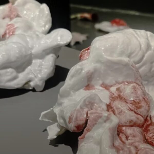 Ausstellungsfoto Porzellan Fleisch Silikon in der Kunsthalle Dessau