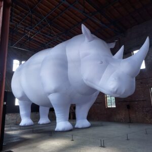 The Rhinoceros in the Room