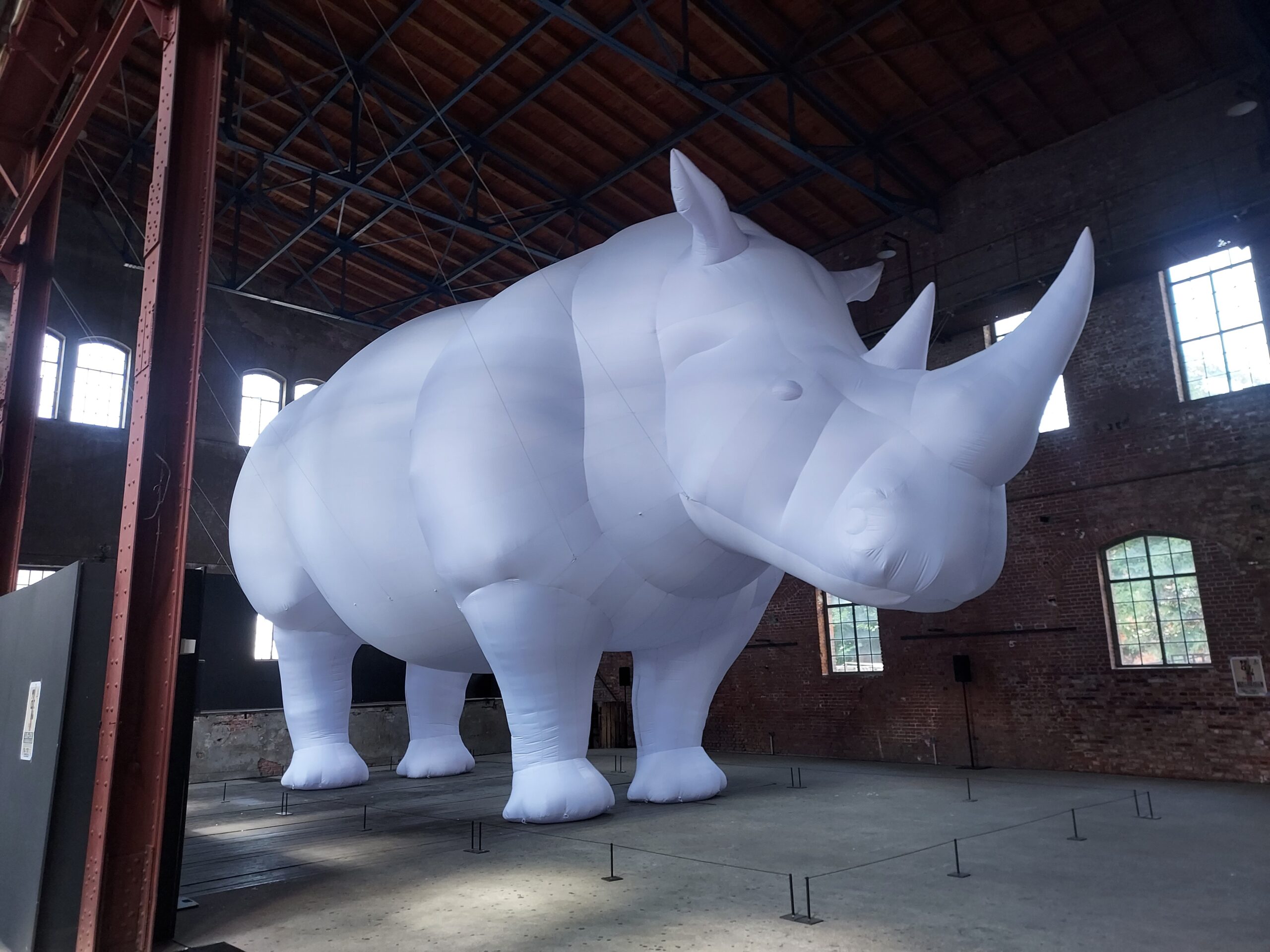 The Rhinoceros in the Room