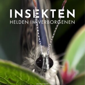 Filmplakat zum Dokumentarfilm "Insekten - Helden im Verborgenen"