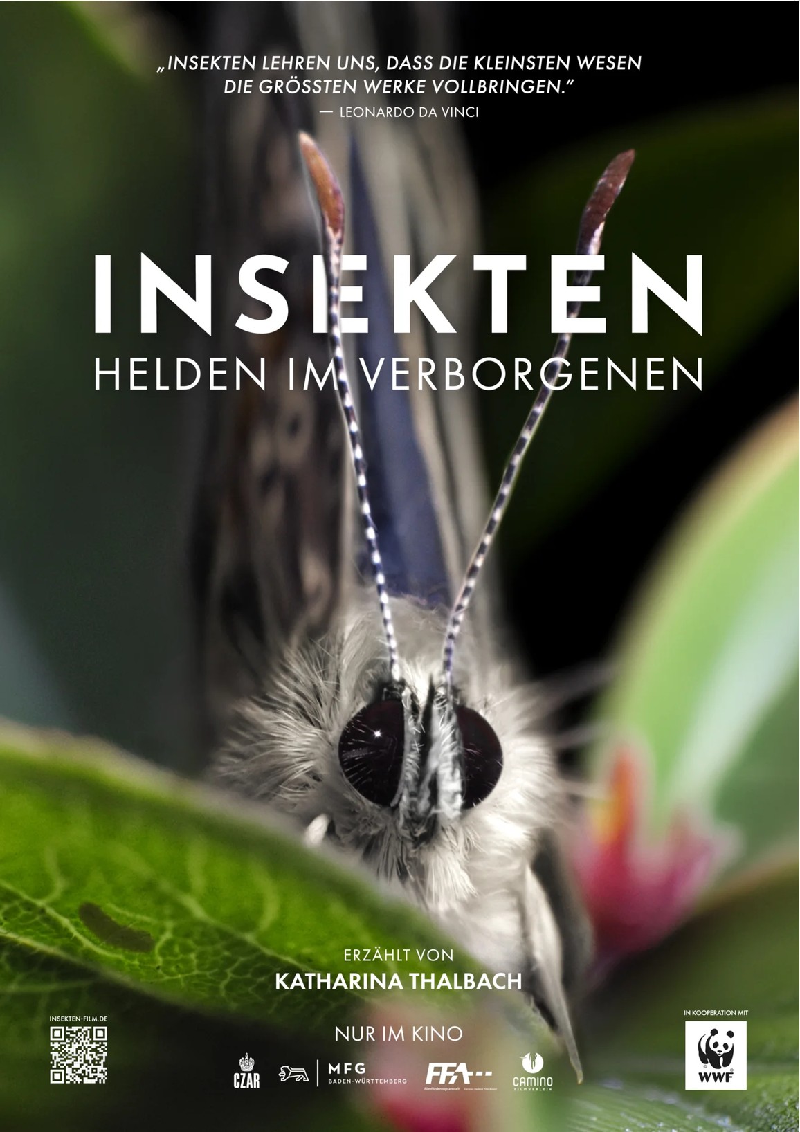 Filmplakat zum Dokumentarfilm "Insekten - Helden im Verborgenen"