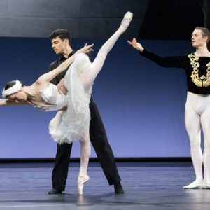 Schwanenseee im Anhaltischen Theater Dessau
