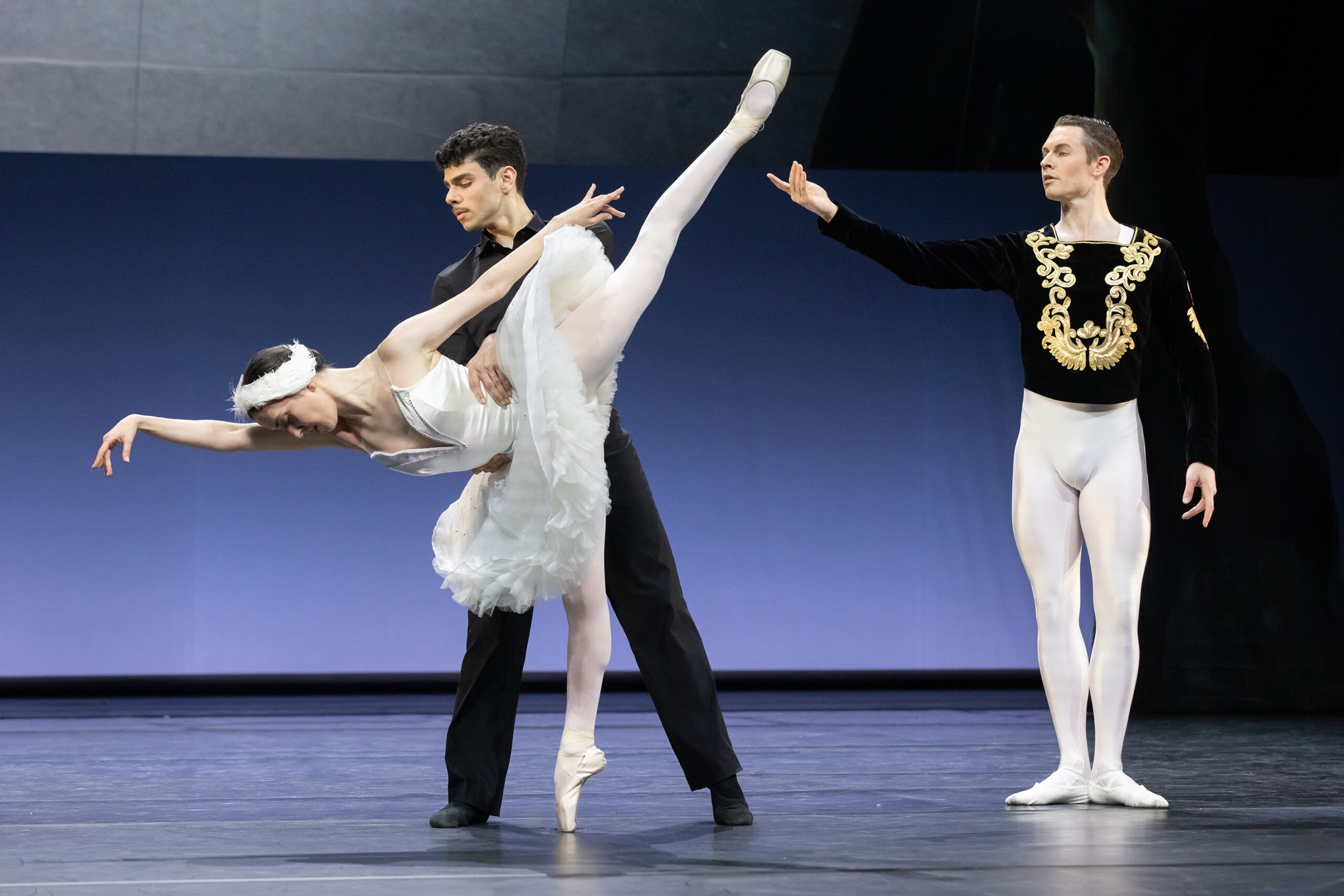 Schwanenseee im Anhaltischen Theater Dessau