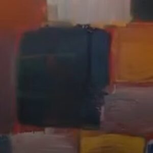 Bild aus der neuen Ausstellung "Melancholie der Farbräume" in der Kunsthalle Dessau