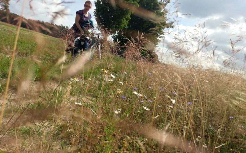 Pause am Flämingradweg