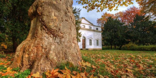 herbstlicher Blick aus dem Georgengarten auf das Fremdenhaus