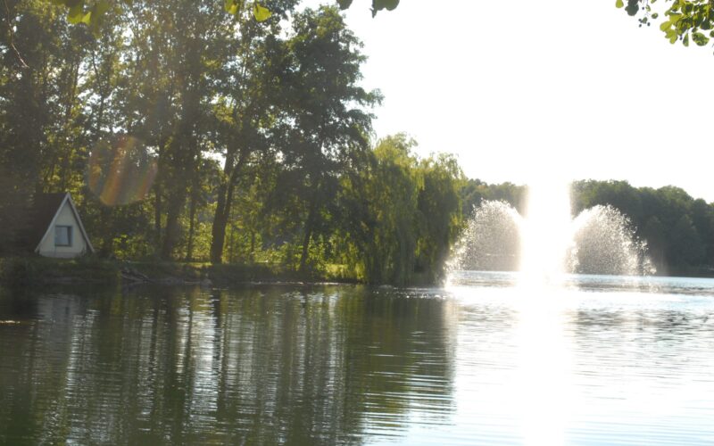 Freibad Naturbad Waldersee Dessau